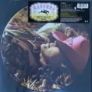 Picture Disc - Madonna - Music - PVC Sleeve
