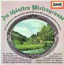 LP - Männergesangverein Frohsinn - Im Schönsten Wiesengrunde (Die Beliebtesten Männerchöre Gesungen Vom Männergesangverein 'Frohsinn')