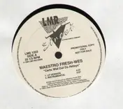 Maestro Fresh Wes - certs wid out da retsyn