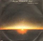 7inch Vinyl Single - Maestro Rolando de Piano - Beautiful Morning