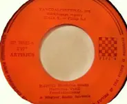 Magdolna Maróti / Vincze Viktória - Hétköznapi Regény / A Mosolyodat El Kellene Ültetnem
