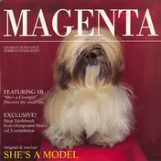 Magenta - She's A Model / Deep Toothbrush