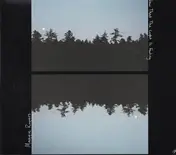 Maggie Rogers - Now That The Light Is Fading