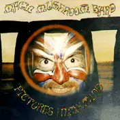 Magic Mushroom Band - Pictures In My Mind