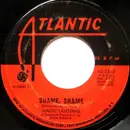 7'' - Magic Lanterns - Shame, Shame / Baby, I Gotta Go Now