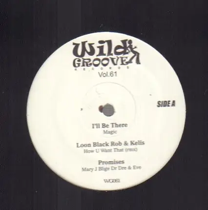 Mary J. Blige, Dr. Dre, Eve, Mariah, Next a.o. - wild groove Vol. 61