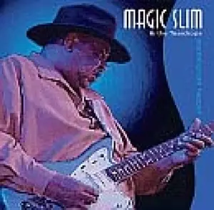 Magic Slim & The Teardrops - Anything Can Happen