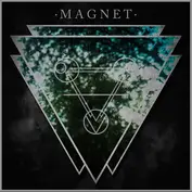 Magnet