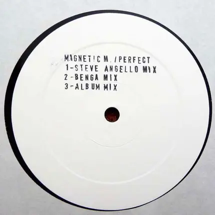Magnetic Man - Perfect