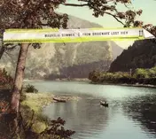 Magnolia Summer - From Driveways' Lost View