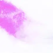 CD - Mahjongg - The Long Shadow Of The Paper Tiger