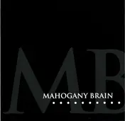 Mahogany Brain - With (Junk-Saucepan) When (Spoon-Trigger)
