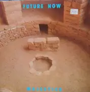 12'' - Majestics, The Majestics - Future Now
