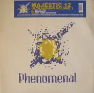 Majestic 12 - Ultrasound Volume 1