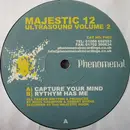 12'' - Majestic 12 - Ultrasound Volume 2