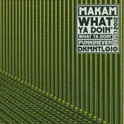 Makam - What Ya Doin'