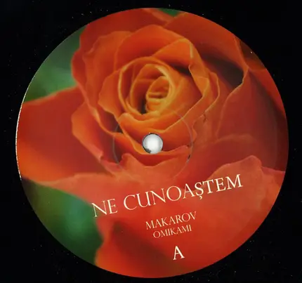 Makarov - Ne Cunoastem / Visam Si Noi