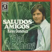 7inch Vinyl Single - Mal - Saludos Amigos