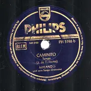 Malando und sein Tango-Orchester - Cielo De Amor / Caminito