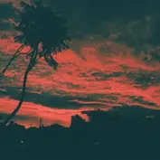 Yucatan Records/Cargo