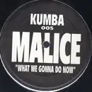 12inch Vinyl Single - Malice - What We Gonna Do Now