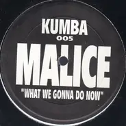 Malice - What We Gonna Do Now