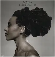 Malia - Black Orchid