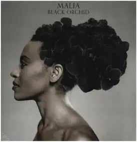 malia - Black Orchid