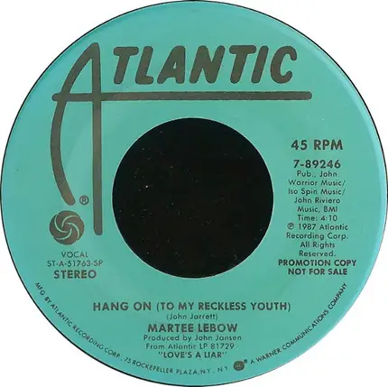 Martee Lebow - Hang On (To My Reckless Youth)
