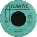 7inch Vinyl Single - Martee Lebow - Hang On (To My Reckless Youth)