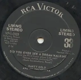 Martin Gold And His Orchestra - Did You Ever See A Dream Walking / Runnin' Wild