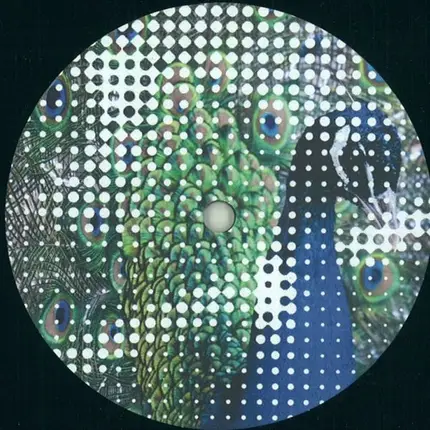 Martin Dawson and Glimpse - Wildlife