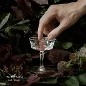 Martin Klein - Lost Songs