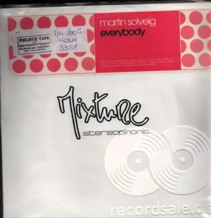 Martin Solveig - Everybody