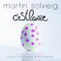 Martin Solveig - C'est la Vie