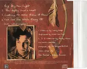 CD Single - Martin Stephenson And The Daintees - Big Sky New Light