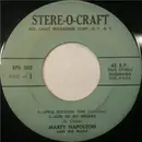 7inch Vinyl Single - Marty Napoleon - Apple Blossom Time