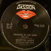 12inch Vinyl Single - Martyn Lacey - Cruising In The Park