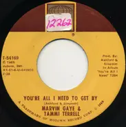 Marvin Gaye & Tammi Terrell - You're All I Need To Get By