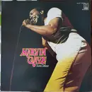 Double LP - Marvin Gaye - Twin Deluxe