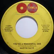 Marvin Gaye - You're A Wonderful One