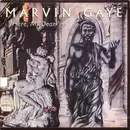 Double LP - Marvin Gaye - 'Here, My Dear.'