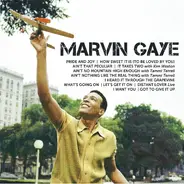Marvin Gaye - Icon