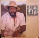 12'' - Marvin Gaye - Sanctified Lady