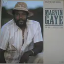 12'' - Marvin Gaye - Sanctified Lady