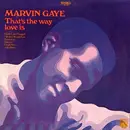 LP - Marvin Gaye - That's The Way Love Is
