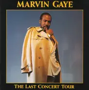 Marvin Gaye - The Last Concert Tour