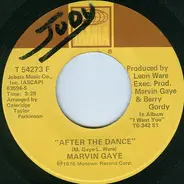 Marvin Gaye - After The Dance