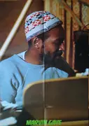 LP - Marvin Gaye - Best Collection - Gatefold + OBI + Poster + Inserts