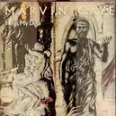Double LP - Marvin Gaye - Here, My Dear